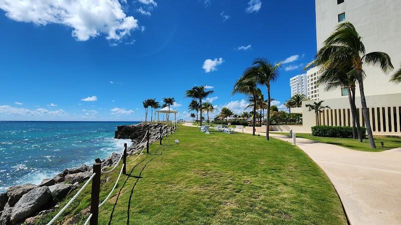 Turquoize at Hyatt Ziva Cancun 1